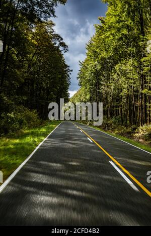 Strada attraverso la foresta, autostrada 7, Isola del Sud Nuova Zelanda Foto Stock