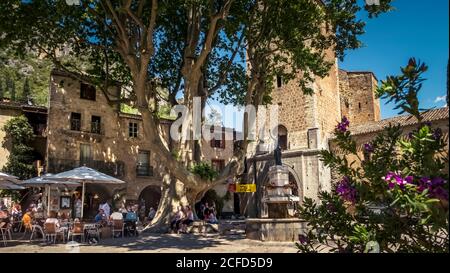 Place de la Liberté a Saint Guilhem le Désert in primavera con 150 anni di platano. Il villaggio appartiene ai villaggi Plus Beaux de France. Foto Stock