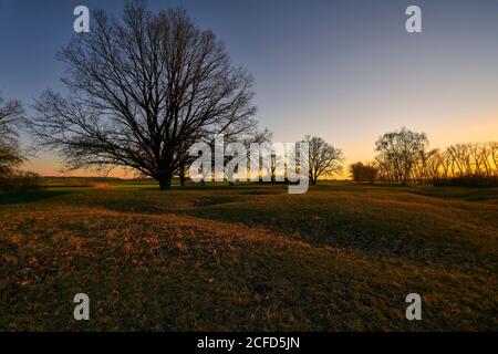 Area di protezione della natura Sulzheimer Gipshügel, Landkreis Schweinfurt, bassa Franconia, Baviera, Germania Foto Stock