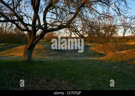 Area di protezione della natura Sulzheimer Gipshügel, Landkreis Schweinfurt, bassa Franconia, Baviera, Germania Foto Stock