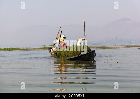 Pescatore con bastoni su piccola barca a Inle Lake, Heho, Myanmar Foto Stock