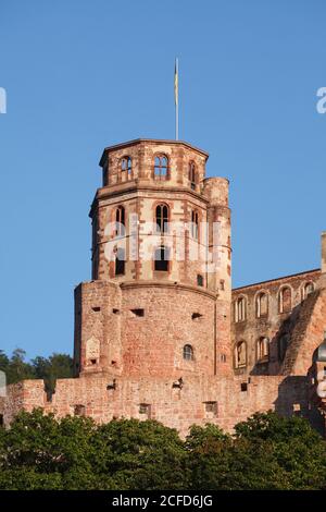 Castello di Heidelberg, Heidelberg, Baden-Württemberg, Germania, Europa Foto Stock