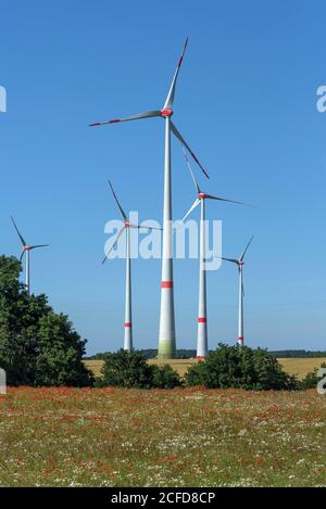 Turbine eoliche in un prato fiorito, Schoenberg, Meclemburgo-Pomerania occidentale, Germania Foto Stock