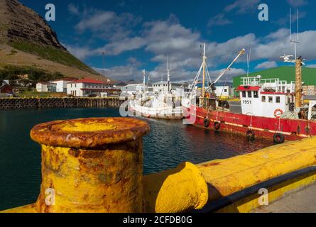 Porto, Bildudalur, fiordi occidentali, Islanda nordoccidentale, Islanda Foto Stock