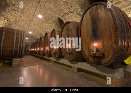 Cantina storica, residenza, interno, Wuerzburg, Germania Foto Stock