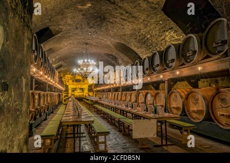 Cantina storica, residenza, interno, Wuerzburg, Germania Foto Stock