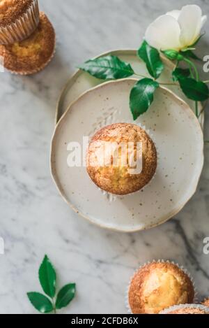 Ancora vita di gustosi cupcake di yogurt su piatti rotondi in disposizione con foglie verdi e rose bianche aromatiche in vetro vaso su tavolo di marmo contro parete grigia in cucina Foto Stock