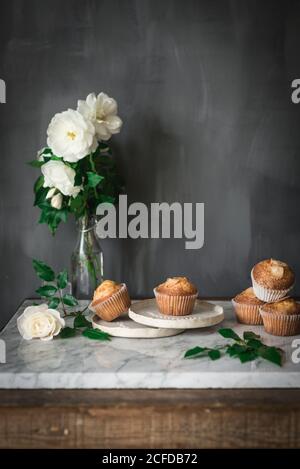 Ancora vita di gustosi cupcake di yogurt su piatti rotondi in disposizione con foglie verdi e rose bianche aromatiche in vetro vaso su tavolo di marmo contro parete grigia in cucina Foto Stock