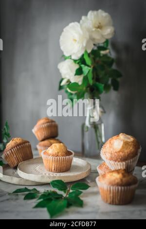 Ancora vita di gustosi cupcake di yogurt su piatti rotondi in disposizione con foglie verdi e rose bianche aromatiche in vetro vaso su tavolo di marmo contro parete grigia in cucina Foto Stock