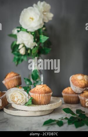 Ancora vita di gustosi cupcake di yogurt su piatti rotondi in disposizione con foglie verdi e rose bianche aromatiche in vetro vaso su tavolo di marmo contro parete grigia in cucina Foto Stock