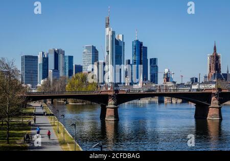 Camminate sulle rive del meno di fronte allo skyline del centro di Francoforte con il quartiere bancario, Francoforte sul meno, Assia, Germania Foto Stock