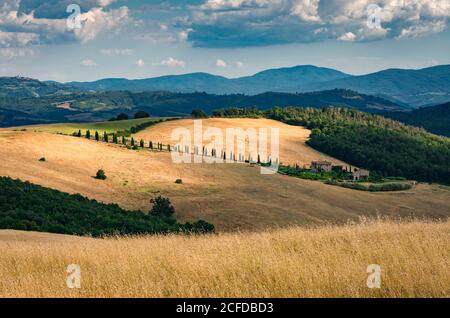 Europa, Italia, strada Provinciale 27, Casole d'Elsa, Toscana, Foto Stock