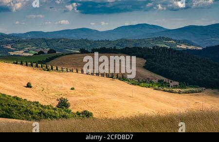 Europa, Italia, strada Provinciale 27, Casole d'Elsa, Toscana, Foto Stock