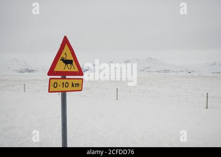 Cartello "avvertenza renna" sulla circonvallazione in Islanda Foto Stock