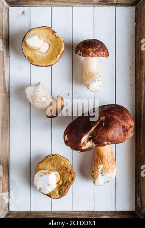 Dall'alto gustosi funghi di bosco profumati con testa marrone sopra scrivania in legno nelle giornate più luminose Foto Stock