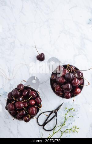 Vista dall'alto delle pentole con ciliegie rosse dolci mature con tavolo in marmo con ramo verde Foto Stock