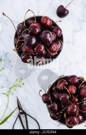 Vista dall'alto delle pentole con ciliegie rosse dolci mature con tavolo in marmo con ramo verde Foto Stock