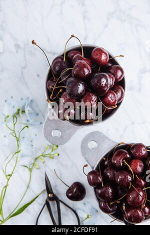 Vista dall'alto delle pentole con ciliegie rosse dolci mature con tavolo in marmo con ramo verde Foto Stock