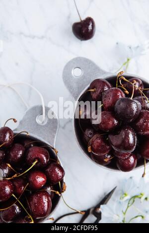 Vista dall'alto delle pentole con ciliegie rosse dolci mature con tavolo in marmo con ramo verde Foto Stock