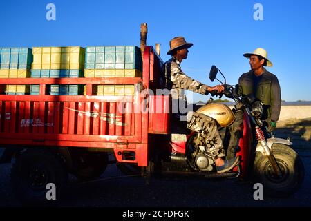 (200905) -- DELIGHA, 5 settembre 2020 (Xinhua) -- li Fuwen(R) parla con suo figlio li Guidong mentre parte per la consegna di bacche goji nel villaggio di Quanshui, nella prefettura mongola e tibetana autonoma di Haixi, nella provincia Qinghai della Cina nord-occidentale, 2 settembre 2020. Li Fuwen, 51 anni, vive nel villaggio di Quanshui di Delingha City, Haixi. Nel 2011, vedendo il boom dell'industria dei frutti di bosco goji nella zona del bacino di Qaidam, li, che aveva lavorato sui cantieri, decise di tornare nella sua città natale per coltivare le bacche di goji. Nel 2014, le sue bacche finalmente entrarono nel periodo della frutta. Li ha guadagnato 120,000 yuan (circa 17,541 US Foto Stock