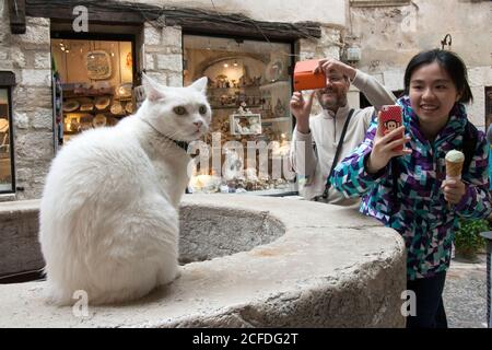 Saint-Paul-de-Vence fotografi felici, triste modello. Il gattino è già disturbato dai turisti scattare foto di lei tutto il giorno. Foto Stock