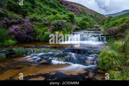 Cascata a gradini in Fairbrook Clough. Foto Stock