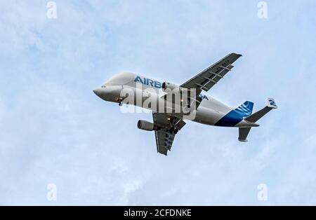 Germania, Amburgo, Airbus A300-600St, Beluga 2 in volo. Foto Stock