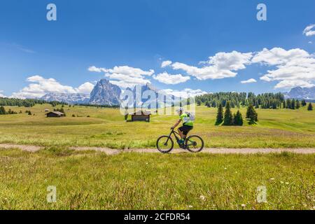 Ciclista con una mountain bike elettrica (e-bike) pedalando in Alpe di Siusi, Seiseralm, Alto Adige, Dolomiti, Italia Foto Stock