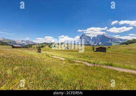 Ciclista con una mountain bike elettrica (e-bike) pedalando in Alpe di Siusi, Seiseralm, Alto Adige, Dolomiti, Italia Foto Stock