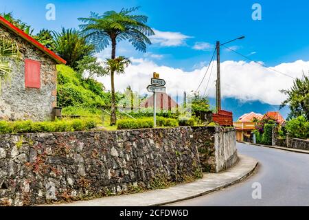 Felci d'albero (cyatheales) e segni direzionali, Hell-Bourg, villaggio nel bacino vulcanico del Cirque de la Salazie, 930 m slm, Reunion Foto Stock