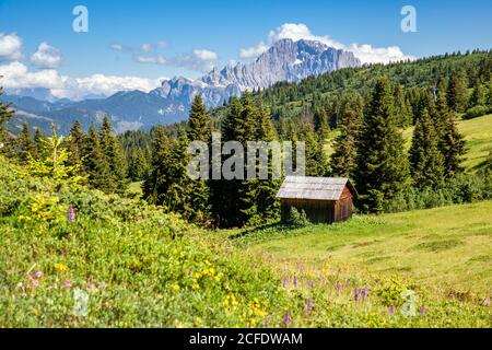 Rifugio solitario nei prati e nei boschi del Monte Cherz, sullo sfondo la parete nord ovest del Civetta, Livinallongo del col di Lana, Belluno, Foto Stock