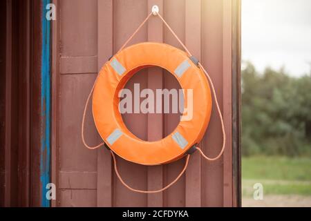 Una vita boa è appeso alla porta. Foto Stock