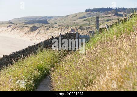 Sentiero escursionistico a Cap de Carteret sotto il faro per le dune di Hattainville. Foto Stock