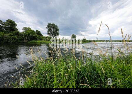 Wesel, basso Reno, Renania Settentrionale-Vestfalia, Germania - Lippe, area di pianura alluvionale rinaturata sopra l'estuario del Lippe nel Reno Foto Stock