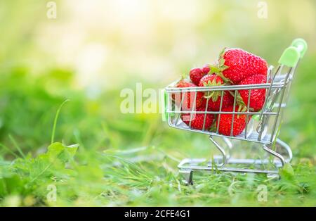 Cart con un supermercato con fragole sull'erba verde. Belle bacche estive. Foto Stock