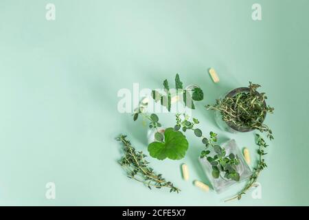 Medicina alternativa, origano, menta, timo, erbe in una bottiglia di vetro su sfondo verde. Vista dall'alto. Messa a fuoco selettiva. Foto Stock
