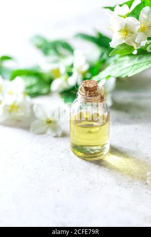 Olio aromatico in bottiglia di vetro con fiori freschi di gelsomino su fondo di cemento grigio chiaro. Olio essenziale di fiore, profumo di olio osmetico . Foto Stock