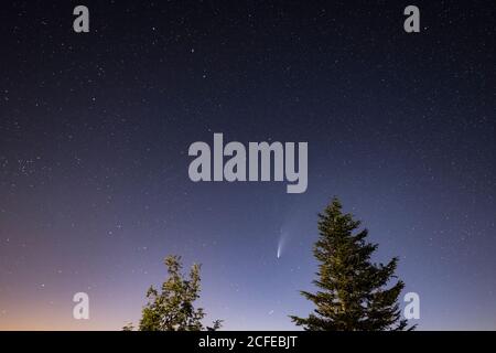 Germania, Baden-Württemberg, Foresta Nera, Hornisgrinde, C / 2020 F3 (NEOWISE) una cometa che è stata osservata nell'estate 2020. Foto Stock