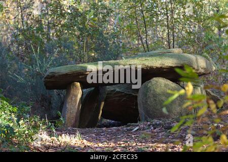 Dolmen nella foresta vicino Carnac in autunno Foto Stock