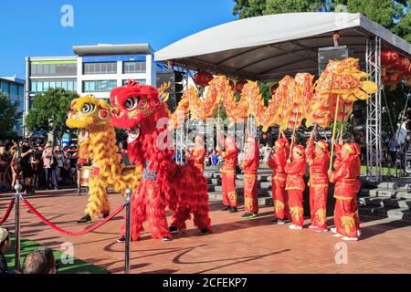 I ballerini cinesi del leone e del drago intrattengono una folla in occasione delle celebrazioni cinesi del capodanno. Hamilton, Nuova Zelanda, 2/16/2019 Foto Stock