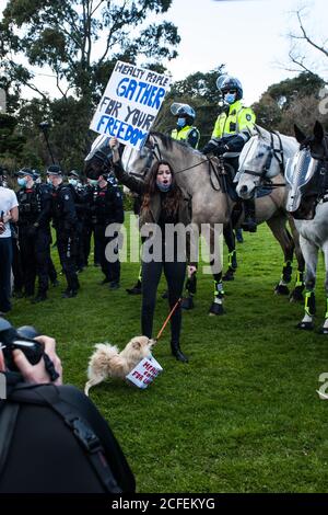 Melbourne, Australia 5 settembre 2020, una protestante femminile tiene il suo placard aloft mentre lei e il suo cane si levano in piedi il terreno di fronte ai cavalli di polizia al Freedom Day Anti-maschera e anti-blocco protesta al Santuario della memoria a Melbourne Australia. Credit: Michael Currie/Alamy Live News Foto Stock