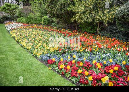 LONDRA, INGHILTERRA - 03 APRILE 2017 bellissimo Green Park e composizioni floreali di fronte a Buckingham Palace a Londra. Foto Stock