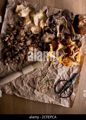 Spazzola e forbici piccole poste su carta pergamena stropicciata vicino set di funghi secchi assortiti su tavolo di legno Foto Stock