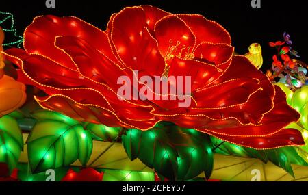 Il Festival delle Lanterne di Zigong a Zigong, Sichuan, Cina. Lanterna che rappresenta un fiore rosso. Foto Stock