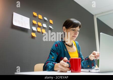 Bella donna adulta con tazza di bevanda calda che naviga il laptop mentre lavora in un ufficio moderno Foto Stock