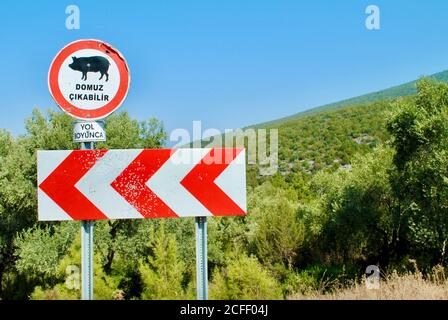 Attenzione al segno dei maiali. Avvisare i conducenti di un possibile attraversamento di suino/cinghiale. Mar Egeo Turchia. Leggi : "attraversamento di cinghiali/cinghiali. Tutto il senso." Foto Stock