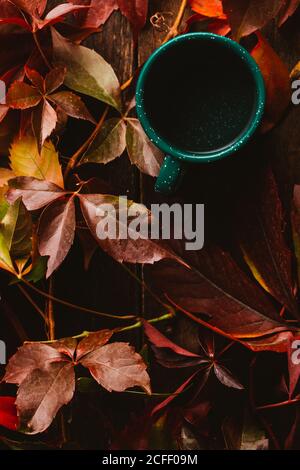 Da sopra tazza verde circondata da foglie di autunno colorato con bere su un tavolo di legno Foto Stock