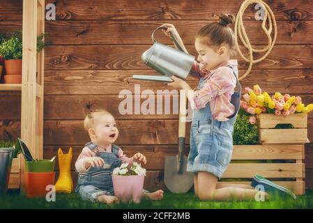 Ragazze carine dei bambini che si prendono cura delle sue piante. Sorelle annaffiato fiori in pentole. Concetto di primavera, natura e cura. Due bambine giardinaggio nel backyar Foto Stock