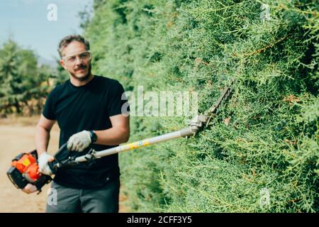 Uomo caucasico rifilare una siepe arizonica con utensili meccanici Foto Stock