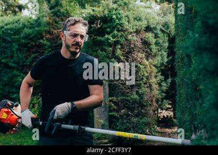 Uomo caucasico rifilare una siepe arizonica con utensili meccanici Foto Stock